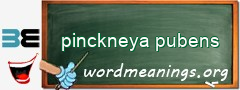 WordMeaning blackboard for pinckneya pubens